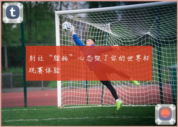 别让“赌狗”心态毁了你的世界杯观赛体验