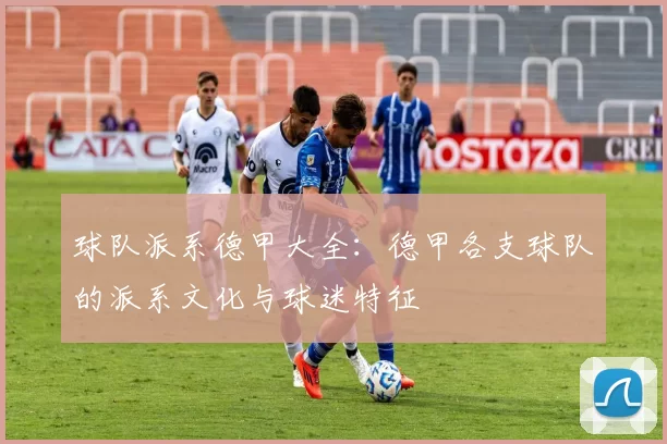 球队派系德甲大全:德甲各支球队的派系文化与球迷特征