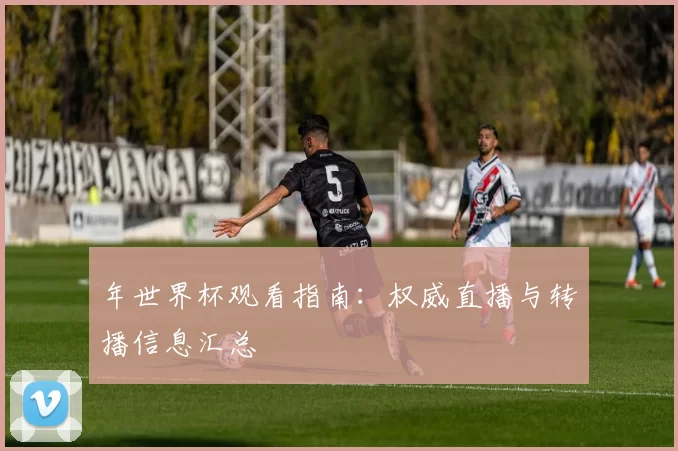 年世界杯观看指南:权威直播与转播信息汇总