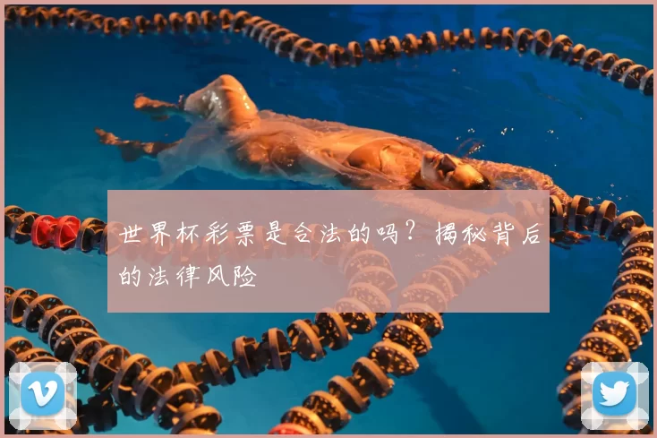 世界杯彩票是合法的吗?揭秘背后的法律风险