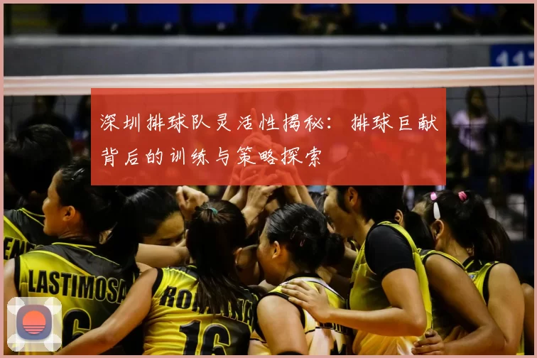 深圳排球队灵活性揭秘:排球巨献背后的训练与策略探索