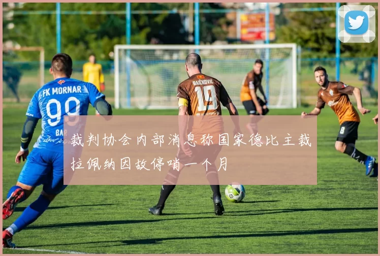 裁判协会内部消息称国家德比主裁拉佩纳因故停哨一个月