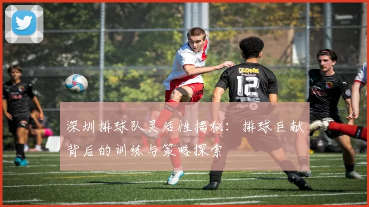 深圳排球队灵活性揭秘:排球巨献背后的训练与策略探索
