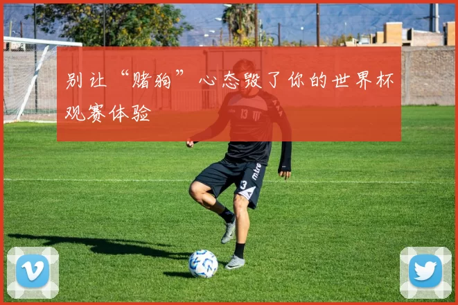 别让“赌狗”心态毁了你的世界杯观赛体验