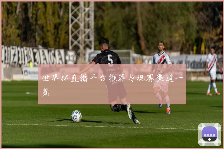 世界杯直播平台推荐与观赛渠道一览