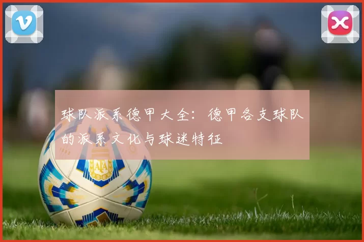 球队派系德甲大全:德甲各支球队的派系文化与球迷特征